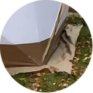 Палатка зимняя куб СЛЕДОПЫТ Premium 1,8х1,8 м, 3-х местная, 3 слоя, цв. белый/олива Палатка зимняя куб СЛЕДОПЫТ Premium 1,8х1,8 м, 3-х местная, 3 слоя, цв. белый/олива