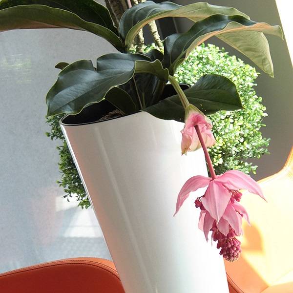 Кашпо для цветов TUBUS SLIM SHINE DTUS300S-S449 белый 2 предмета 15 и 27 л Кашпо для цветов TUBUS SLIM SHINE DTUS300S-S449 белый 2 предмета 15 и 27 л